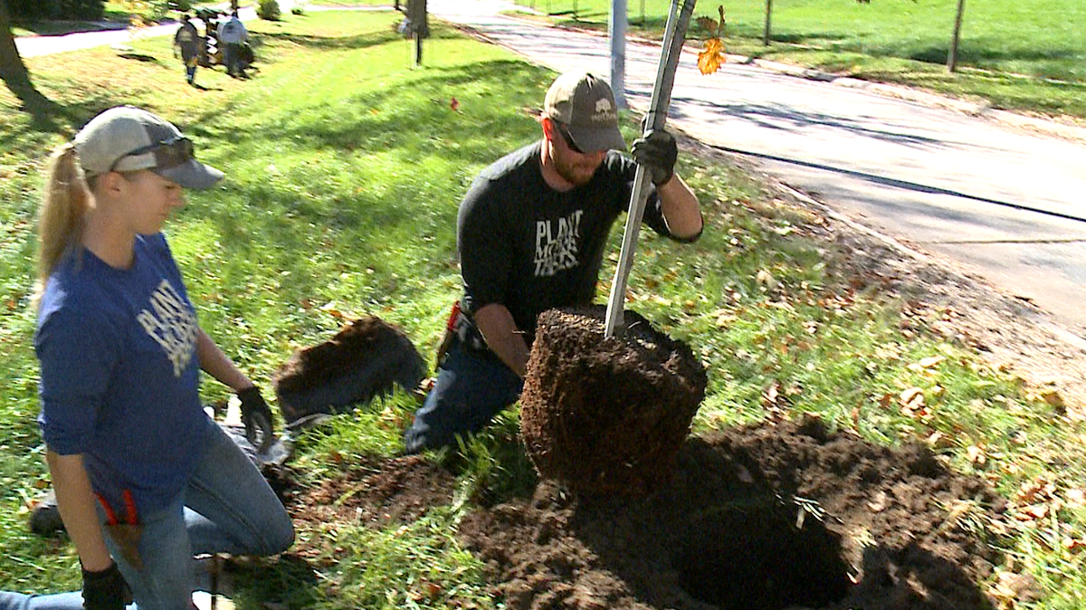 Omaha Parks Foundation donates 20,000 to replant trees across metro
