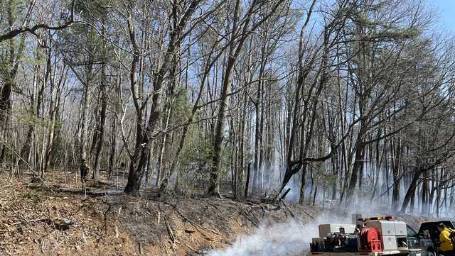 Asheville: Fast-moving brush fire putting structures at risk - Vimarsana News