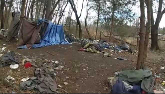 From the Trash Asheville Homeless Camp