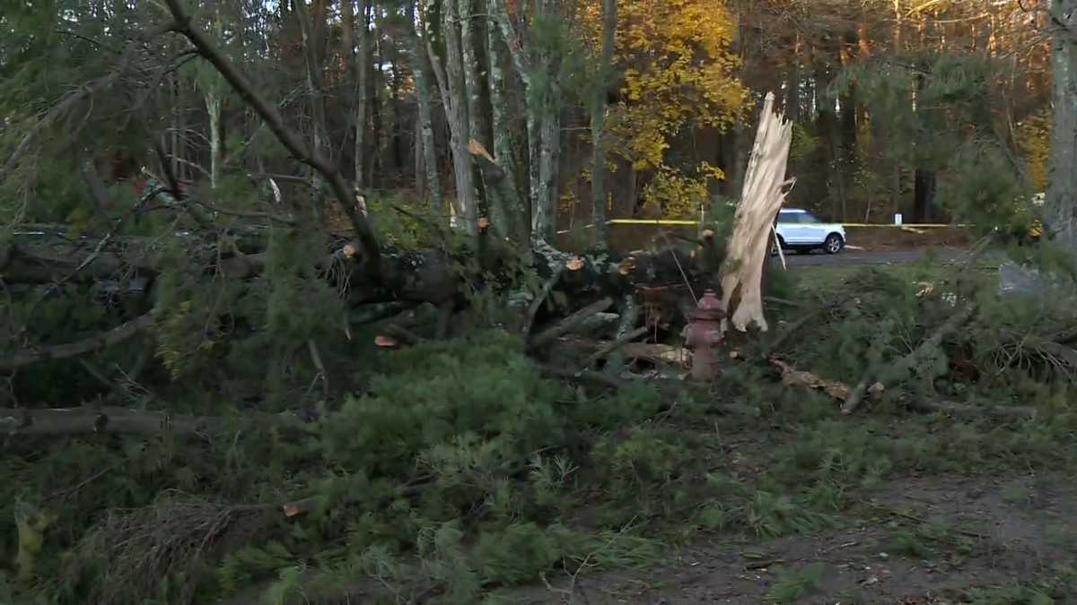 NWS confirms three tornadoes hit Rhode Island
