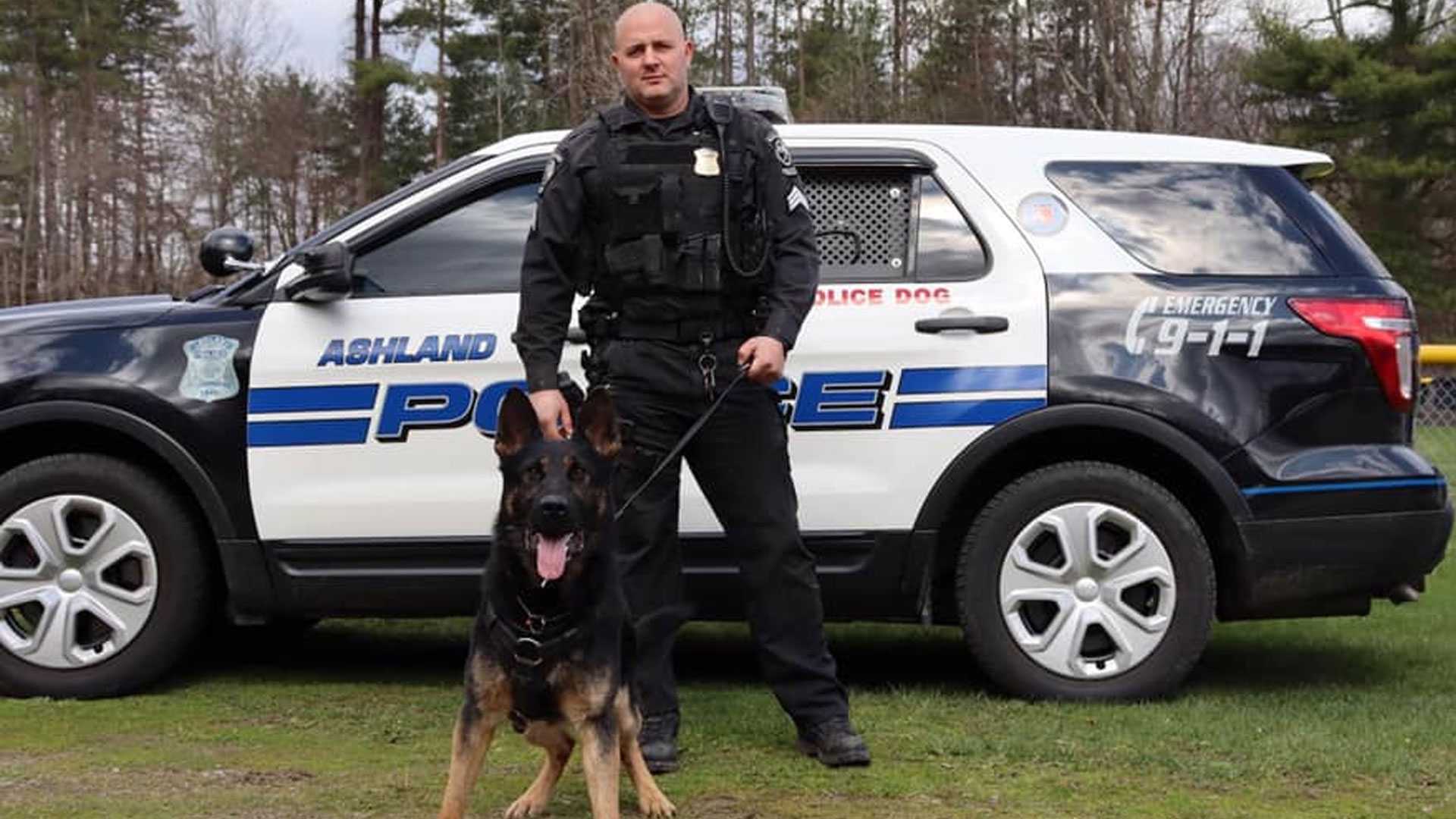 Police K-9 Finds Massachusetts Woman Who Went Missing On Hike