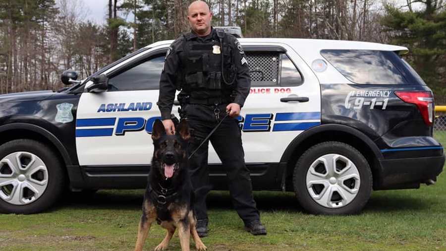 Ashland Police Department K-9 Ajax and his handler, Sgt. Chris Alberini.