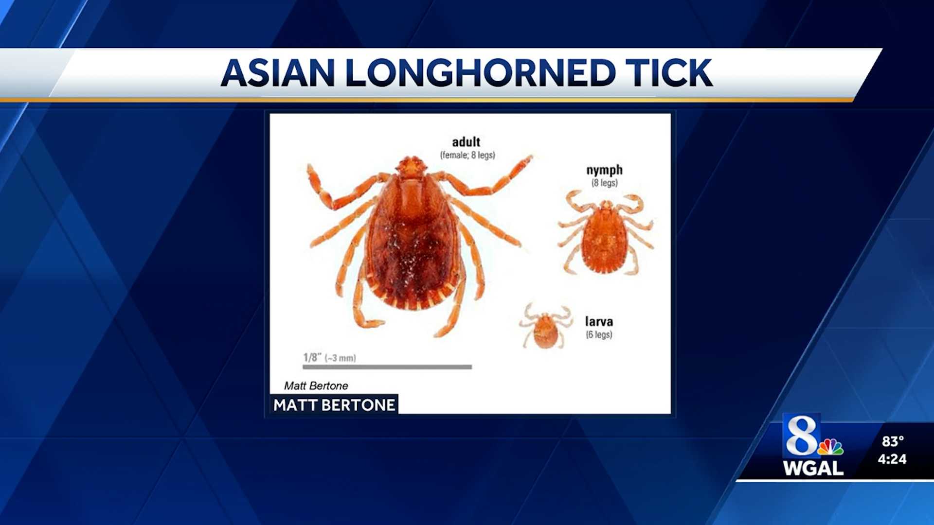 Invasive Asian longhorned tick spreading in Pennsylvania