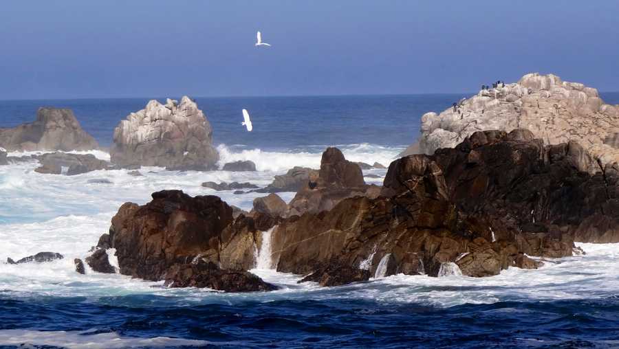 Sewage Spill Closes Asilomar State Beach Asilomar State Beach
