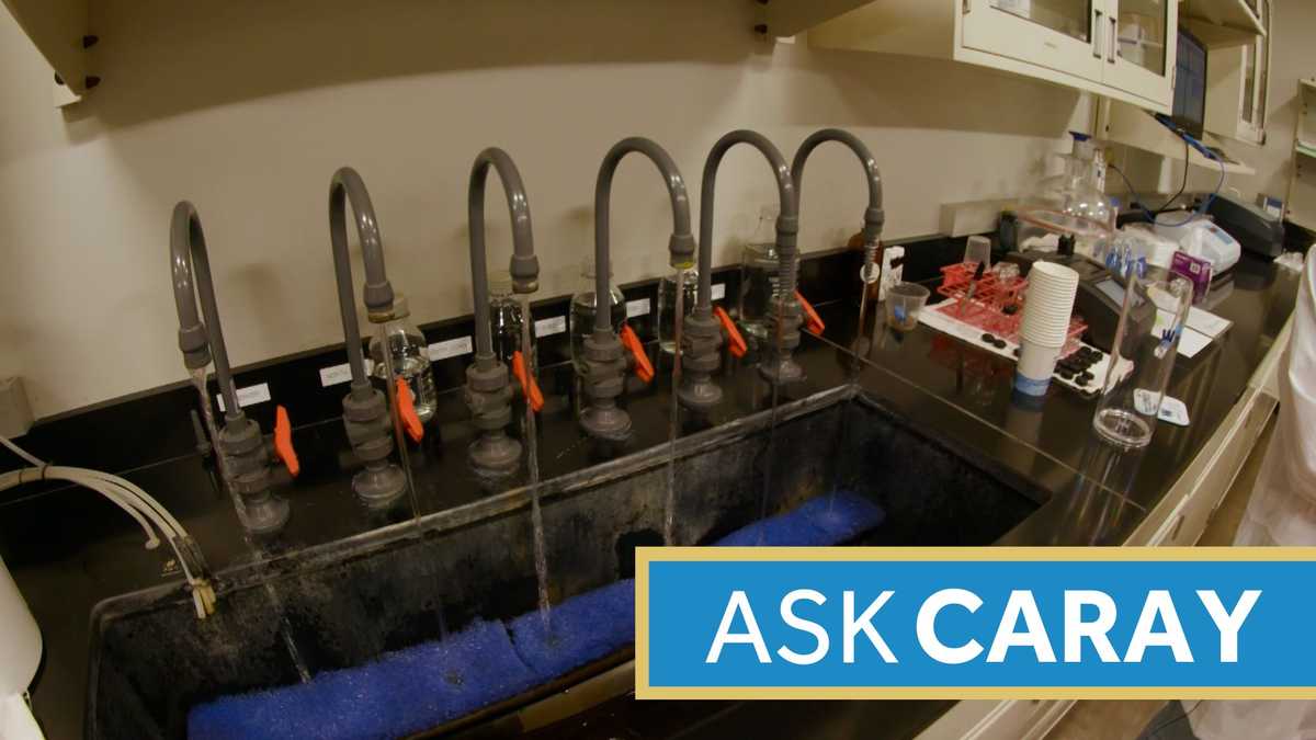 What makes Louisville tap water taste so good? Ask Caray