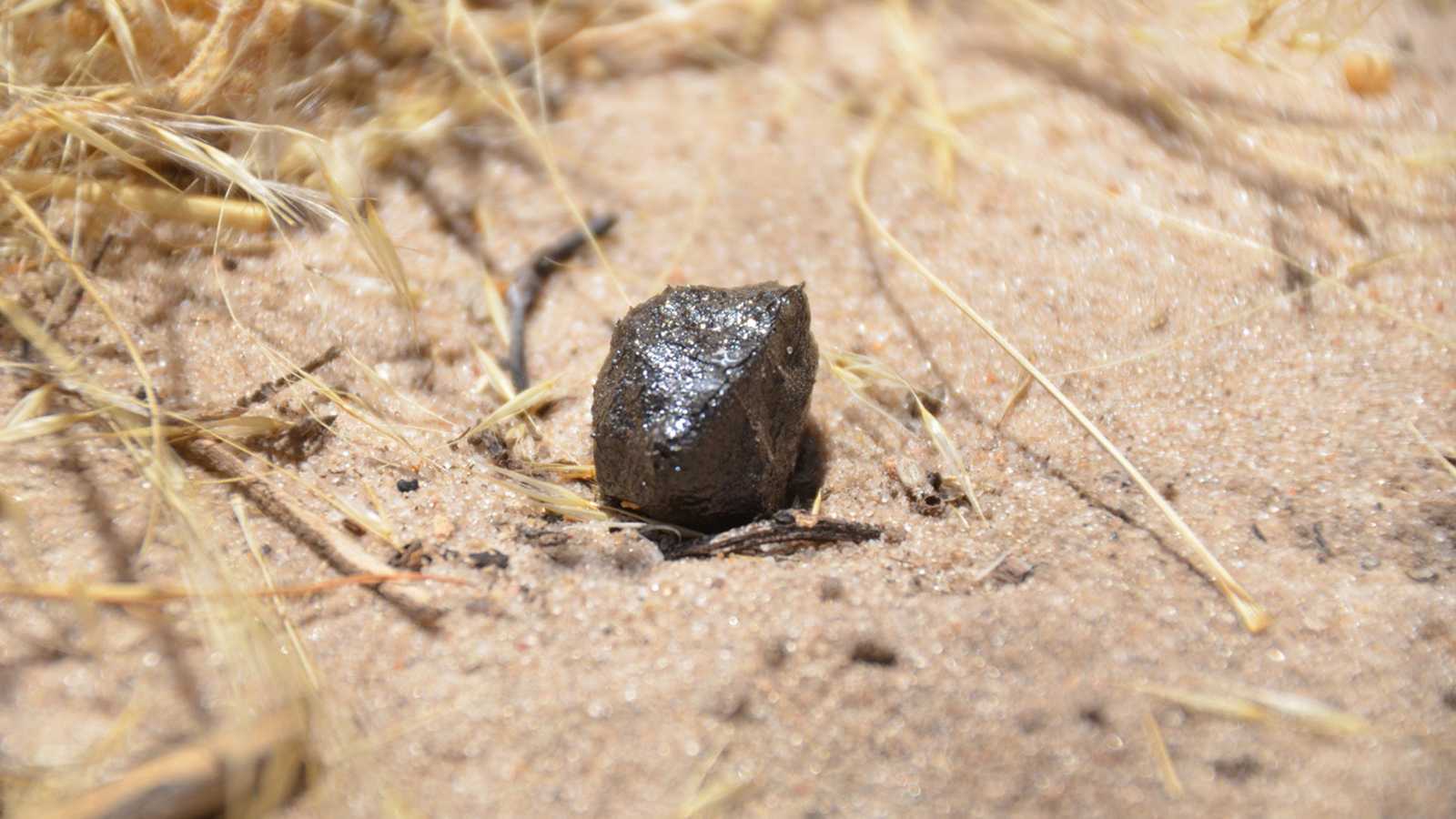 It took 22 million years for these meteorites to land on Earth - Vimarsana News
