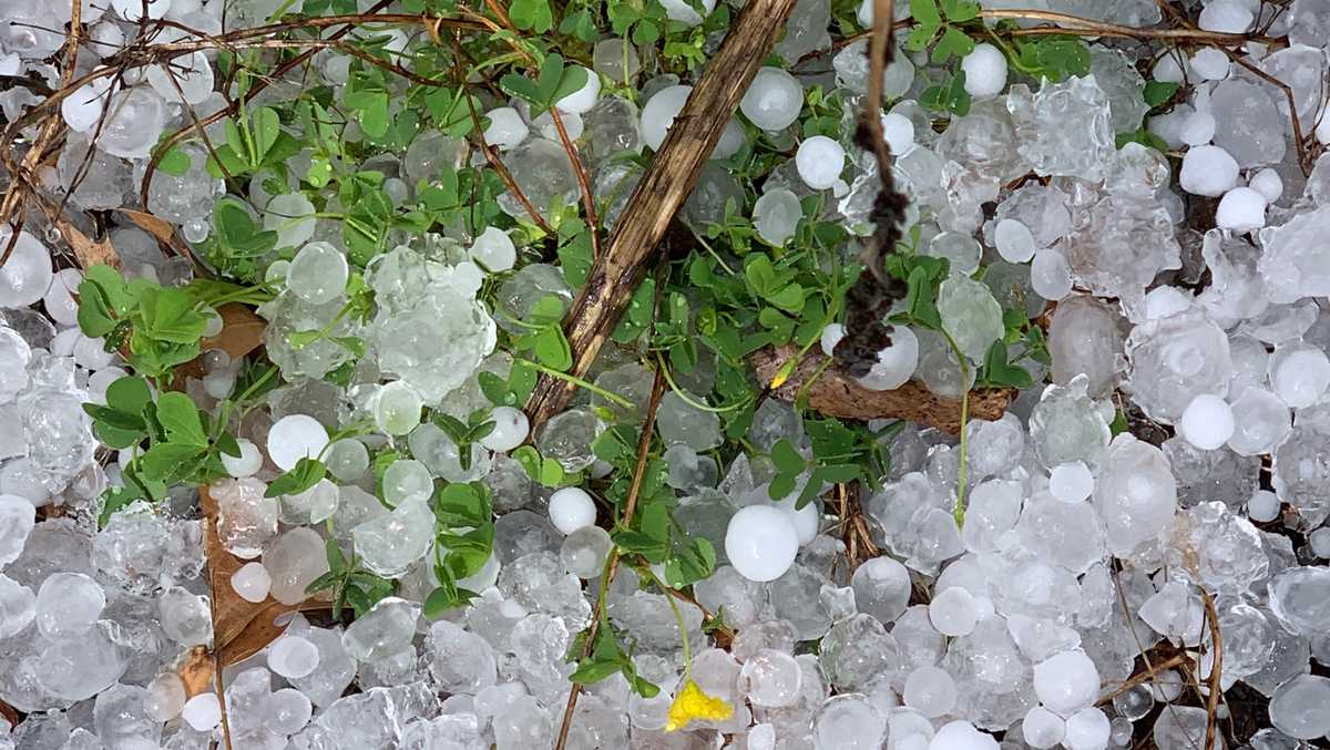 Gallery North Carolina severe weekend storms produce large hail