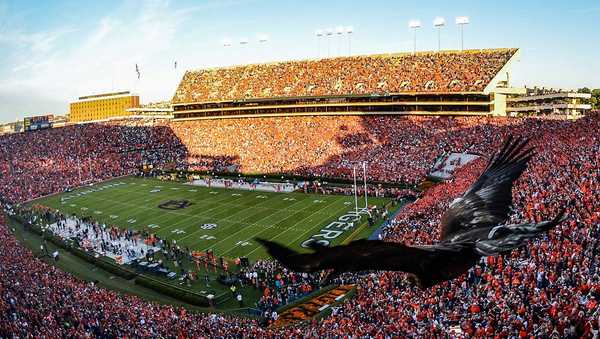 Eagle flying at a college football stadium