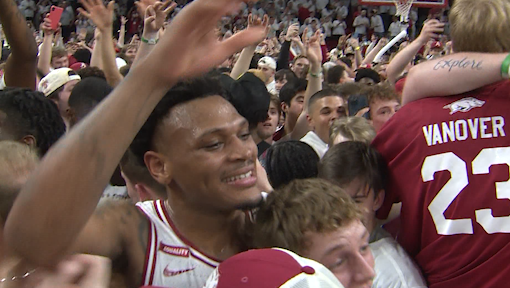 Arkansas Razorbacks fans feeling euphoria of win over Auburn - Vimarsana News