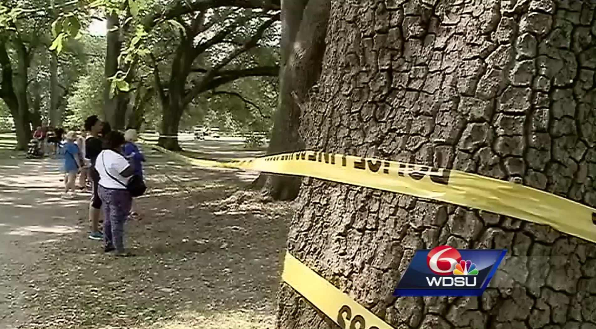 Coroner's Office Identifies Woman Who Drowned In Audubon Park Lagoon