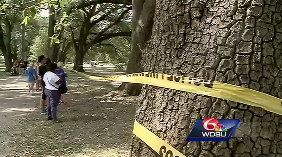 Coroner's Office identifies body found at Audubon Park
