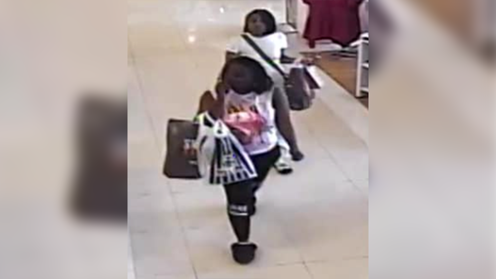 Georgia: Women wanted for questioning after shooting at mall - WJCL