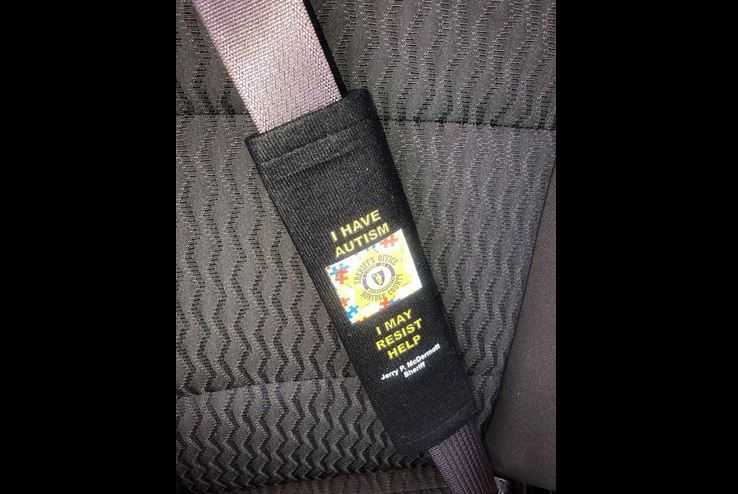 autism seat belt buckle guard