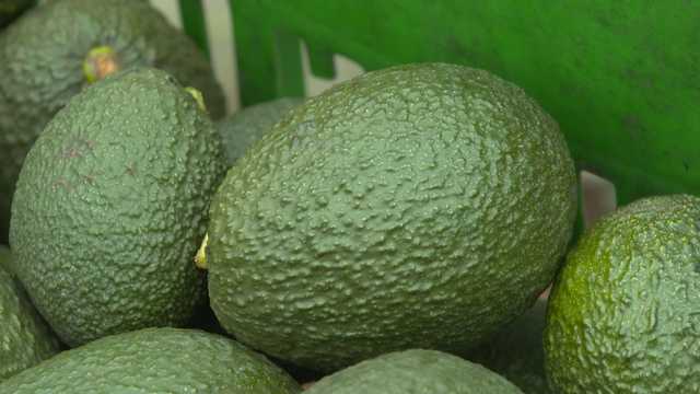 FDA debunks TikTok hack about storing avocados in water bottles - Vimarsana News