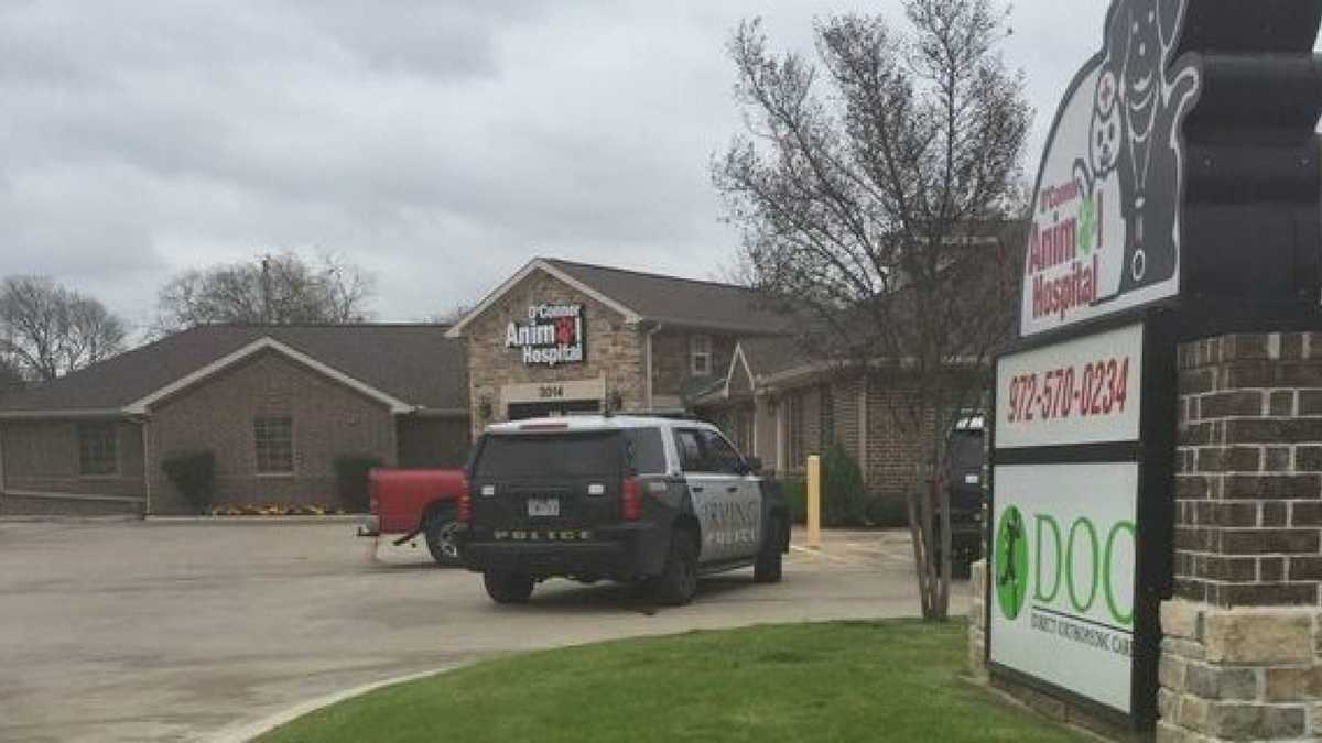 Woman dies after being attacked by her own dogs inside ﻿veterinary clinic