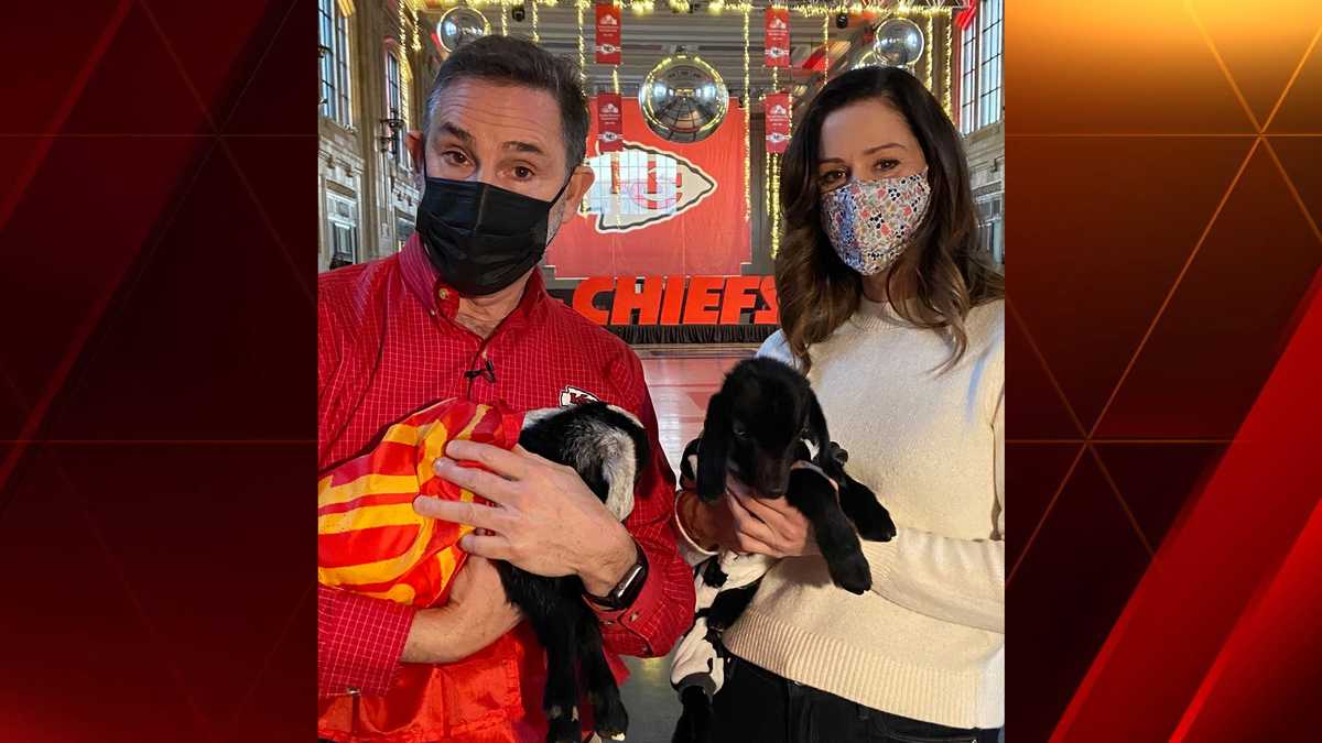 CHIEFS KINGDOM: Get your picture taken with baby goats dressed in Chiefs  gear
