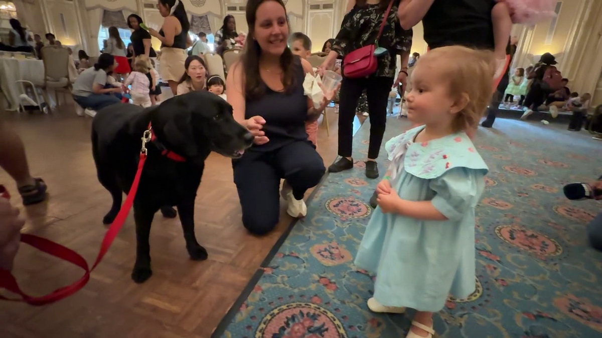 Baby Prom Programs Baby Prom brings joy to Boston families, promotes early learning
