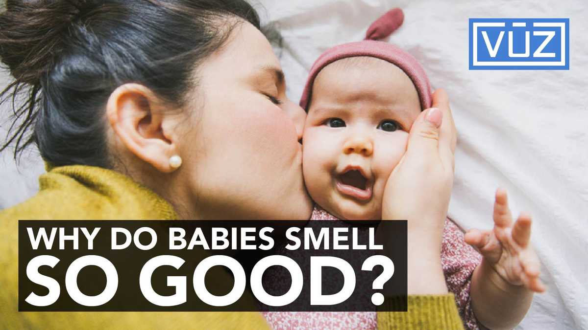 Theres A Reason Why Babies Smell So Good