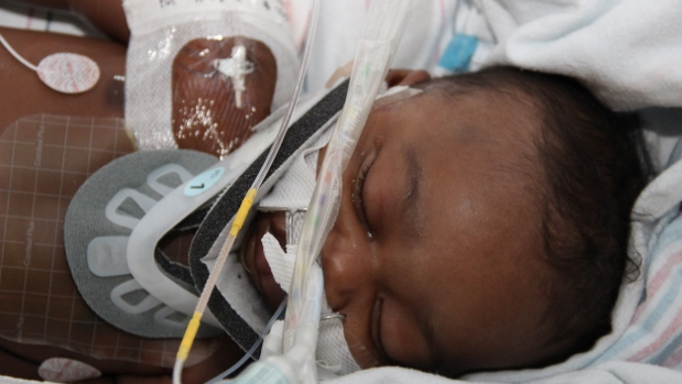 Murdered baby 'tortured most of his life'