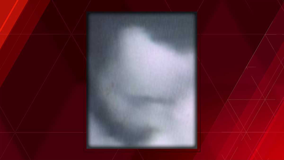 Boston police seek help in identifying sexual assault suspect