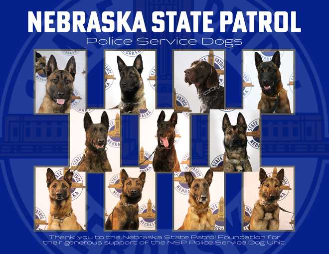 NSP introduces five new K9 recruits with a 2022 calendar