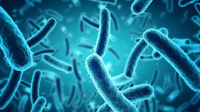 NCDHHS urges caution after three deaths due to Vibrio this month - Vimarsana News