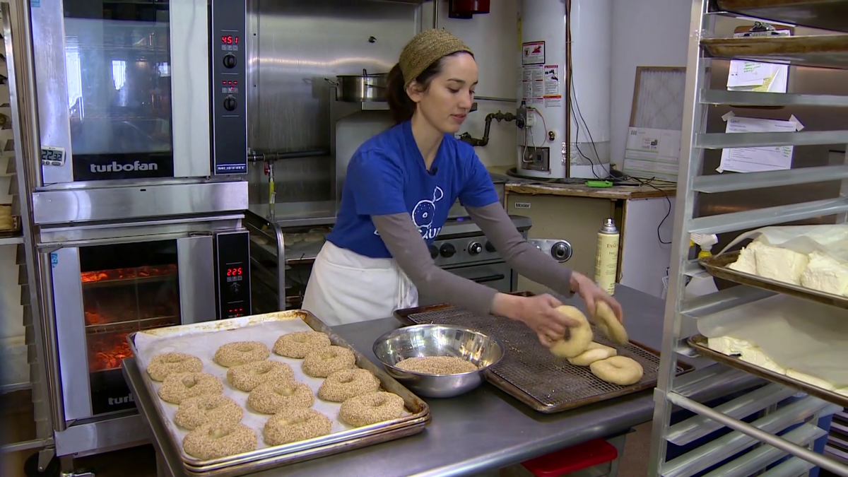 Bagelsaurus Cambridge Massachusetts Discount Supplier gbuhamovniki.ru