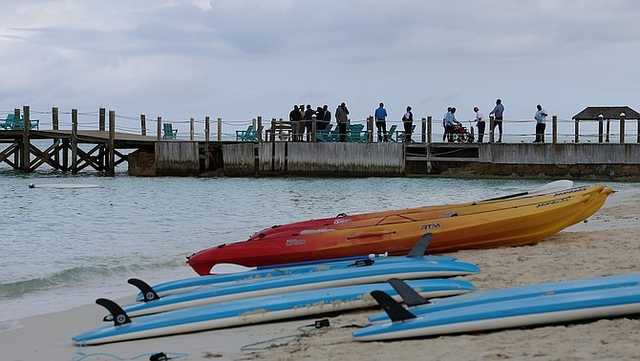 Pitt alum who died after shark attack in Bahamas identified by officials - Vimarsana News