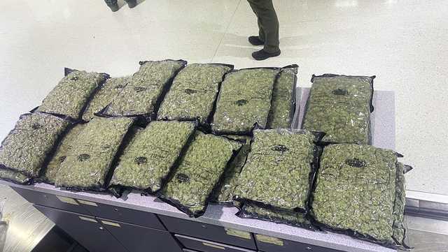 Customs officers seize 32 pounds of marijuana at BWI-Marshall - Vimarsana News
