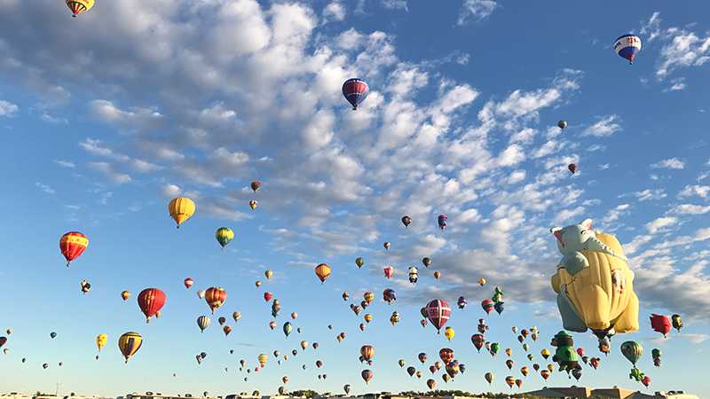 are dogs allowed at albuquerque ballon festival