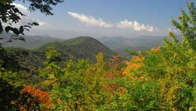 Balsam Mountain: Man reported missing in national park found dead - Vimarsana News