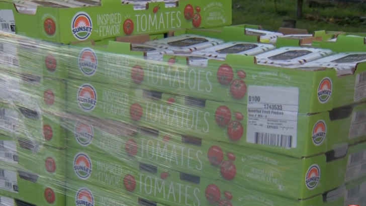 Pre-registration opens in Central Florida counties for nutrition assistance program - WESH 2 Orlando