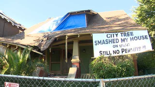 Sacramento man struggles with rebuilding home hit by tree - Vimarsana News