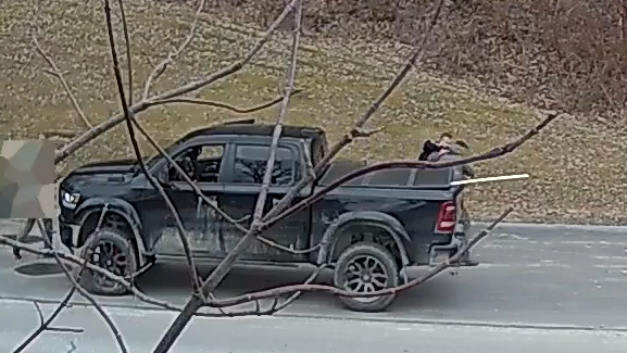 Video shows arrest of Slate Ridge owner Daniel Banyai in Pawlet Vermont