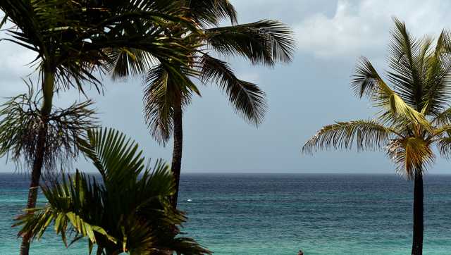 What you need to know about planning travel right now - Vimarsana News
