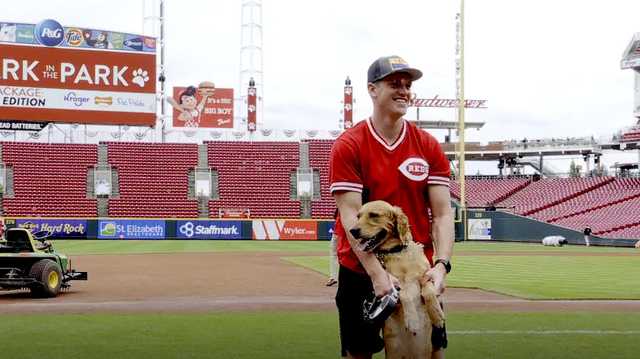 More than 200 pups take over Great American Ball Park for Bark at the Park