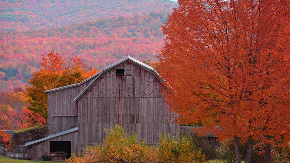 PHOTOS: Fall foliage reaches peak in Vermont, northern New York