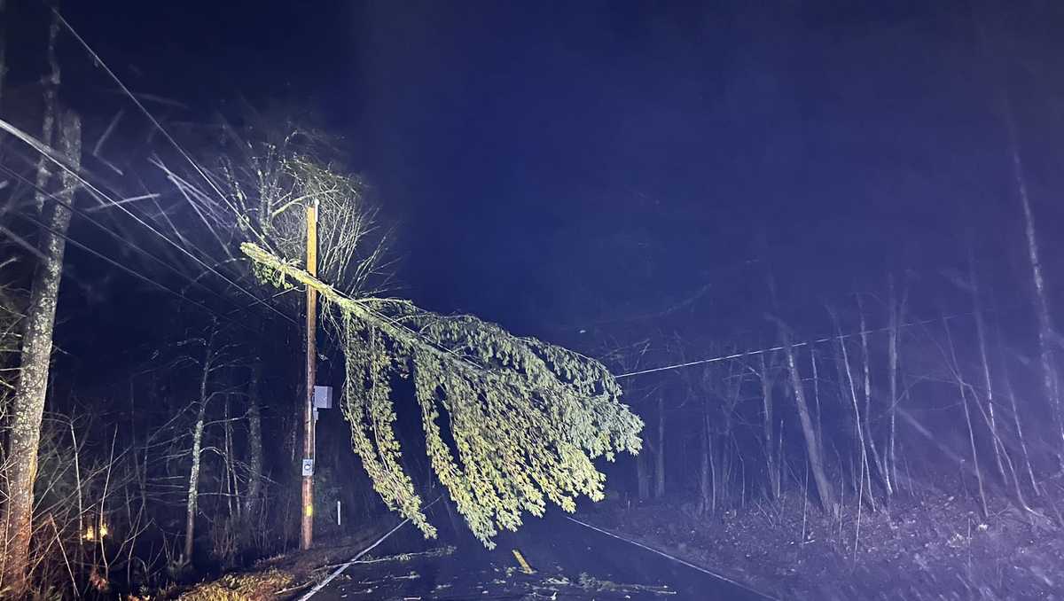 Images Pre Christmas Storm Downs Trees Powerlines