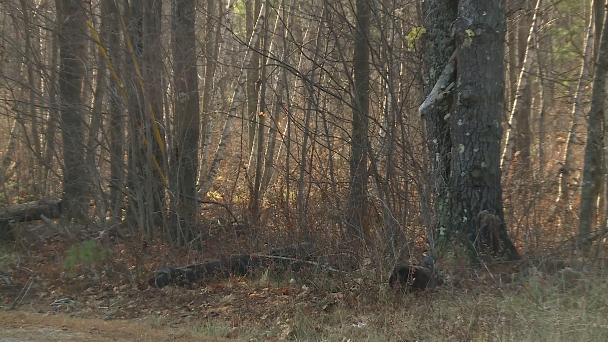 Keep dogs safe during Maine’s trapping season - WMTW