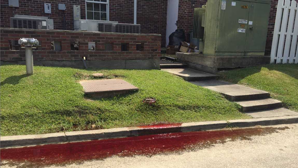 Viewer shares photo of street curb covered in blood in Baton Rouge