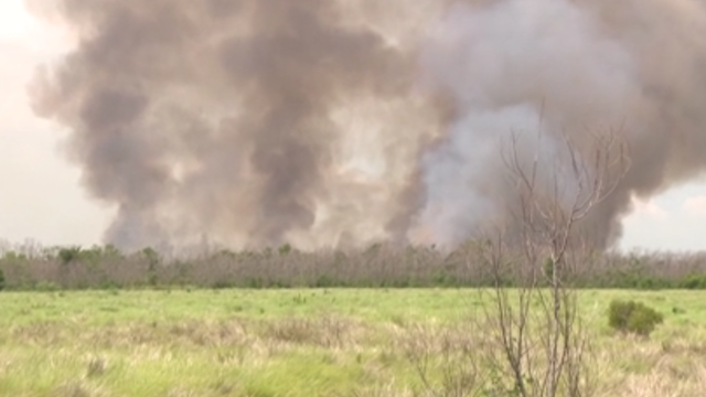 Traffic Alert: Bayou Sauvage Marsh fire may cause traffic impacts - Vimarsana News