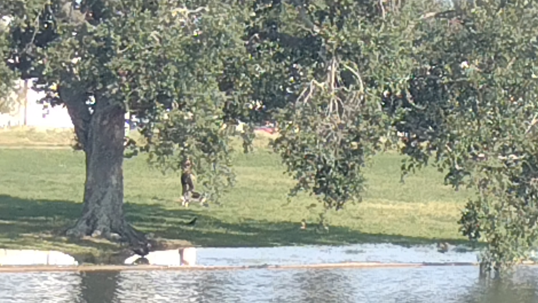 New Orleans Bayou St. John water rising