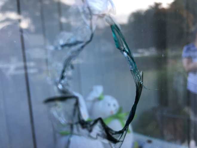 Bicycle-riding vandals armed with BB gun cause thousands in damage