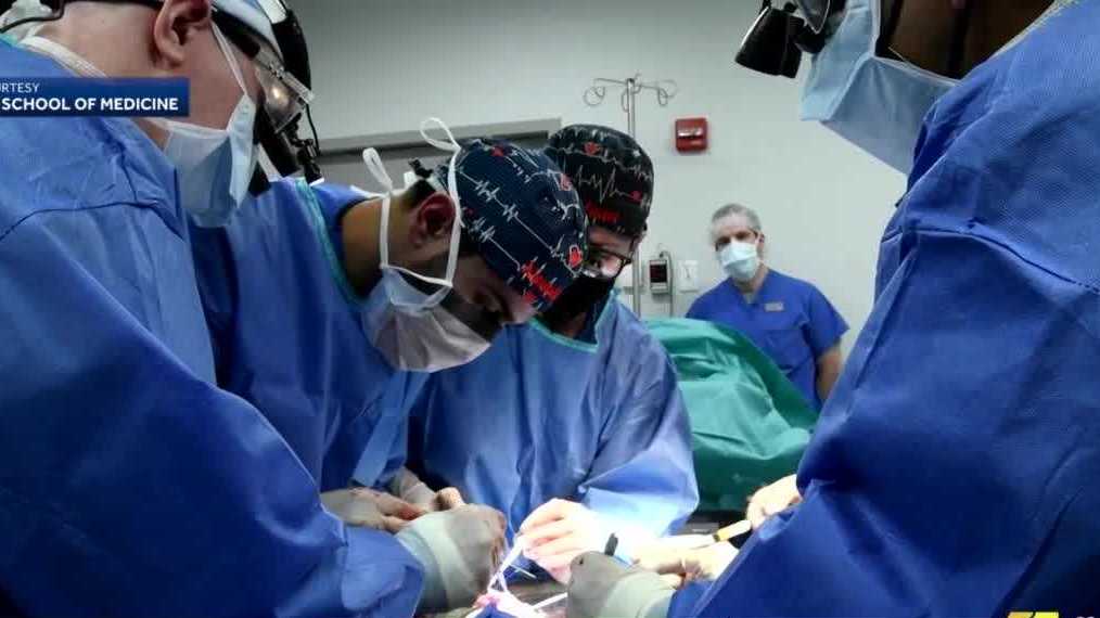 Historic pig heart transplant patient dies