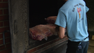 Lexington Barbecue Festival pork preparations