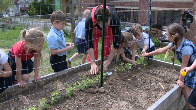 Butler Catholic School students learn about gardening - Vimarsana News