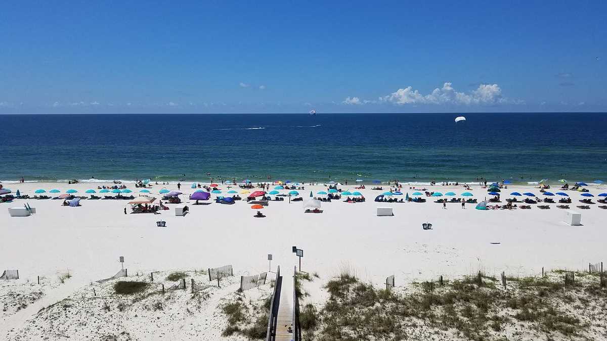 House committee advances 'Lulu’s Law' to allow shark attack alerts on a national level