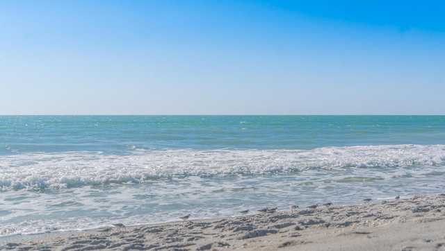 Florida deputy runs over beachgoer lying in sand - Vimarsana News