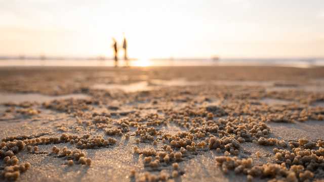 10 things to do in Florida this weekend - Vimarsana News