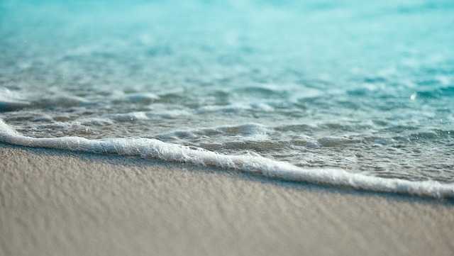 Fun things to do on the Treasure Coast and Palm Beaches this weekend - Vimarsana News